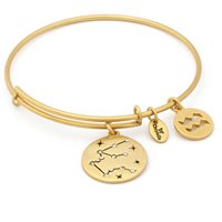 Bracelet Chrysalis Woman in Steel CRBT1311GP - CRBT1311GP